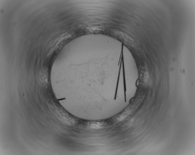 X0000078270710200611251353