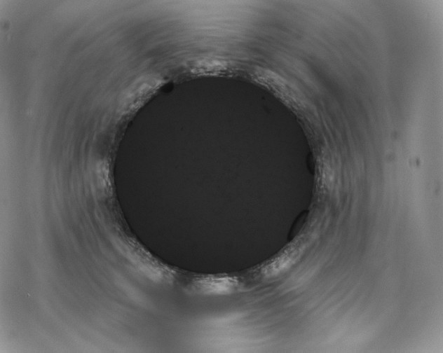 X0000078270711200611251353