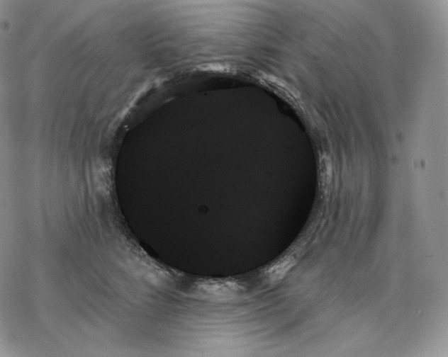 X0000078270712200611251353