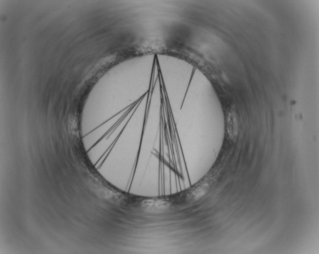 X0000078270714200611251353