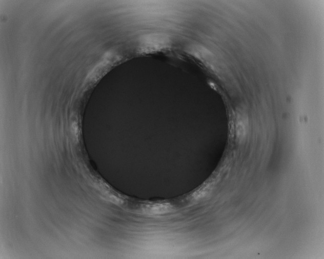 X0000078270716200611251353