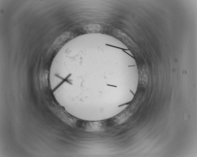 X0000078270717200611251353