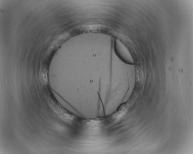 X0000078270718200611251353