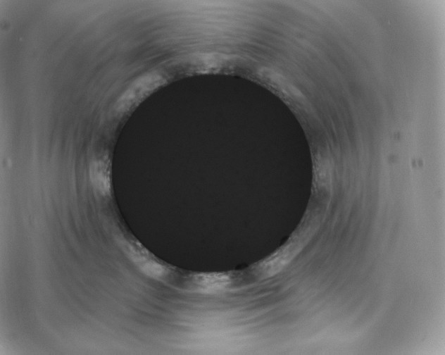 X0000078270719200611251353