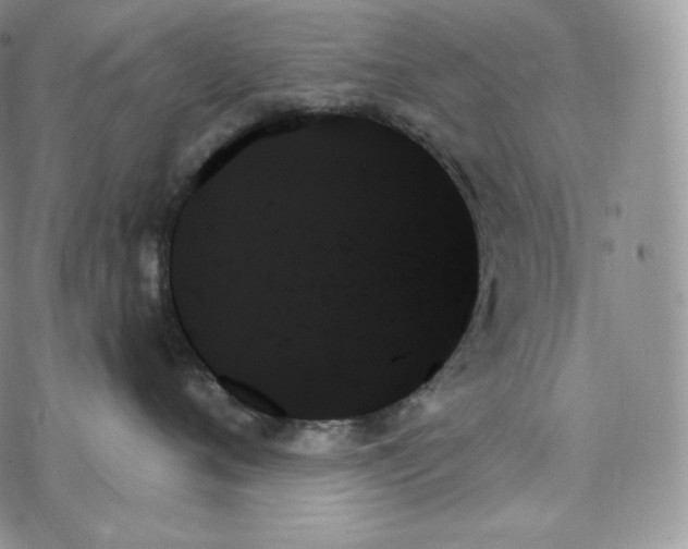 X0000078270720200611251353