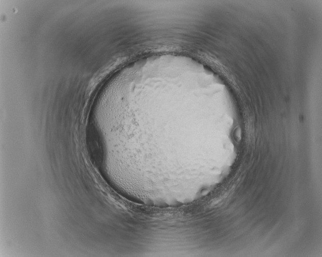 X0000078270721200611251352