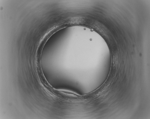 X0000078270722200611251352