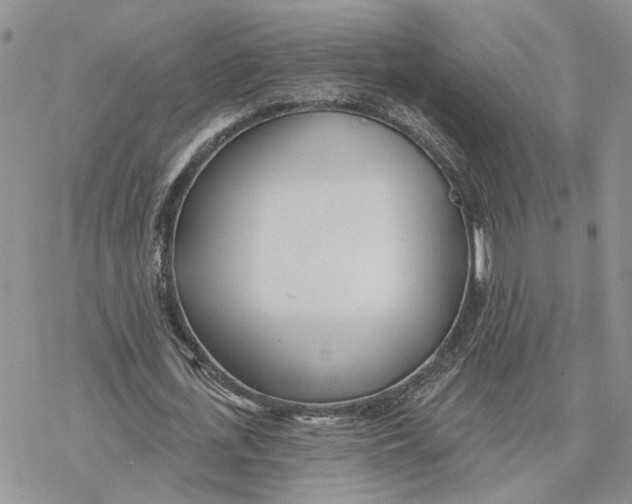 X0000078270723200611251352