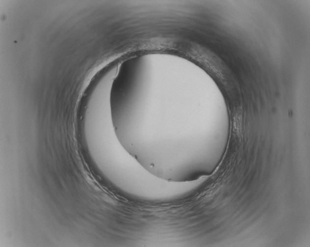 X0000078270724200611251352