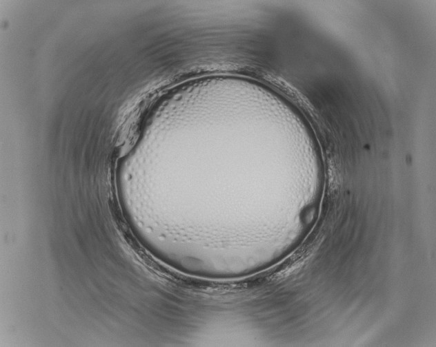 X0000078270725200611251352