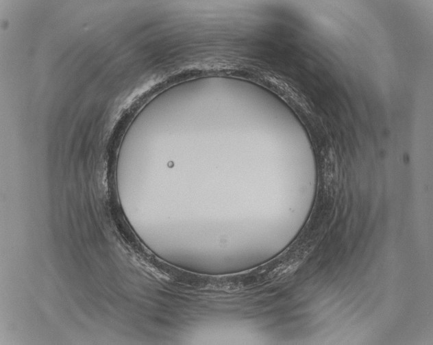 X0000078270727200611251352