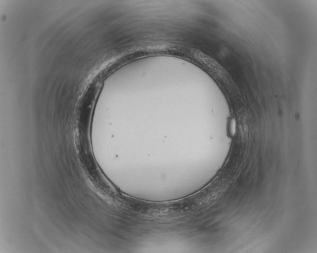 X0000078270728200611251352