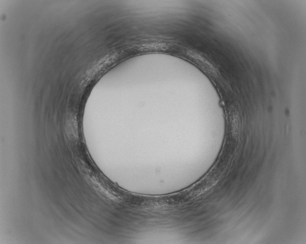 X0000078270729200611251352