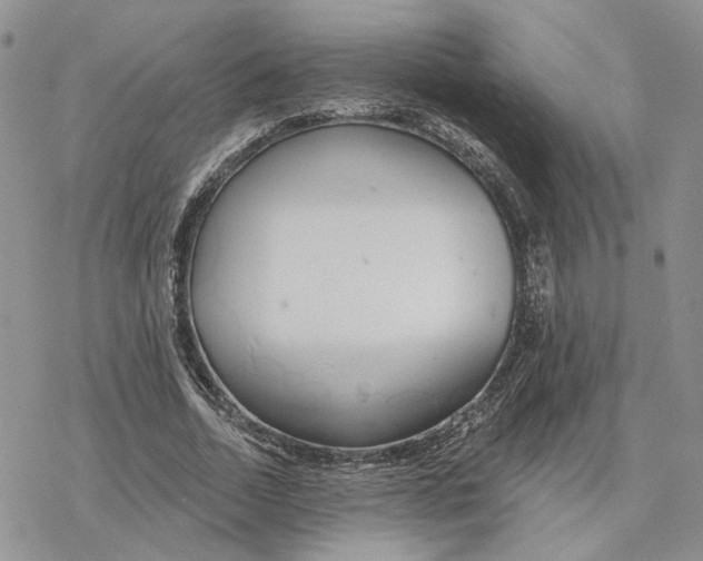 X0000078270730200611251352