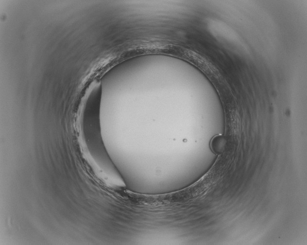 X0000078270731200611251353