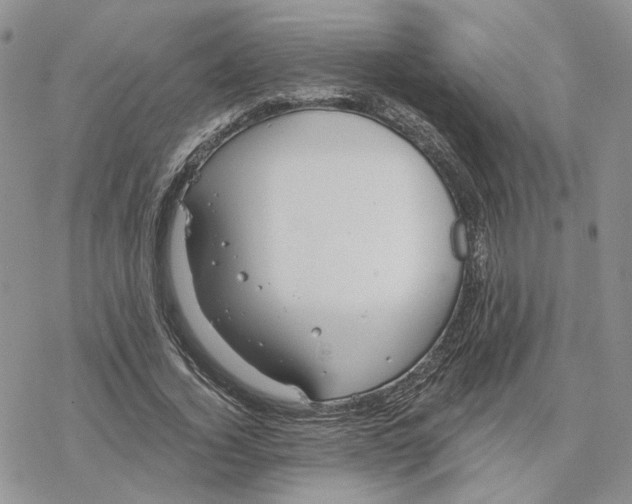 X0000078270732200611251353