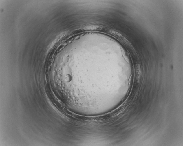 X0000078270734200611251353