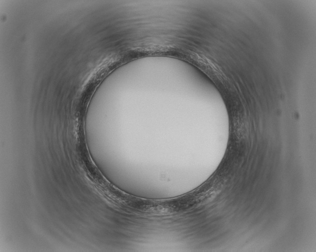 X0000078270735200611251353