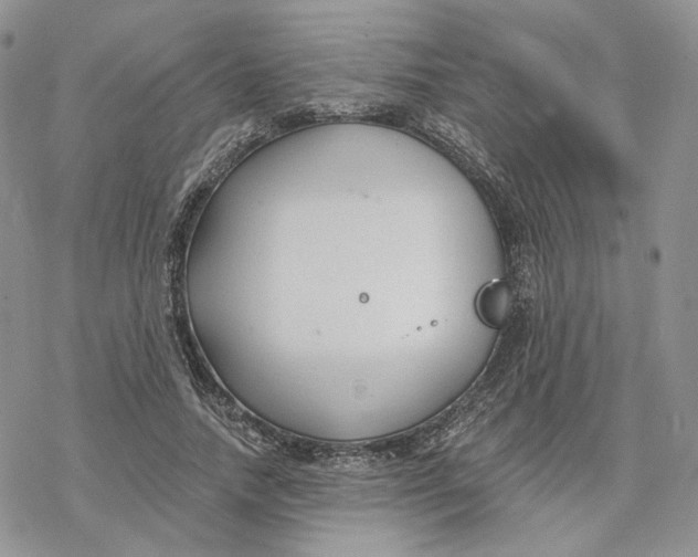 X0000078270738200611251353