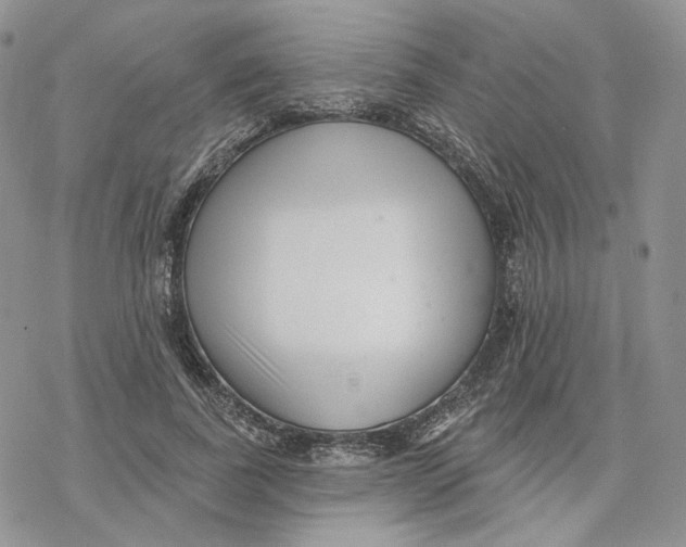 X0000078270739200611251353