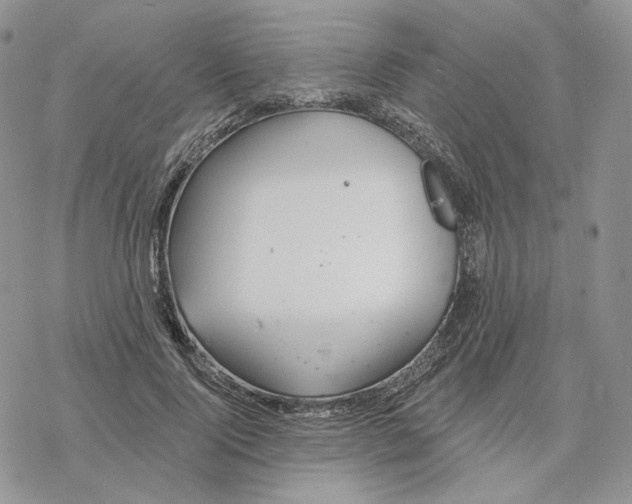 X0000078270740200611251353