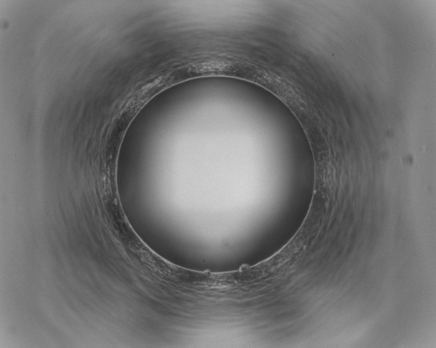 X0000078270743200611251353