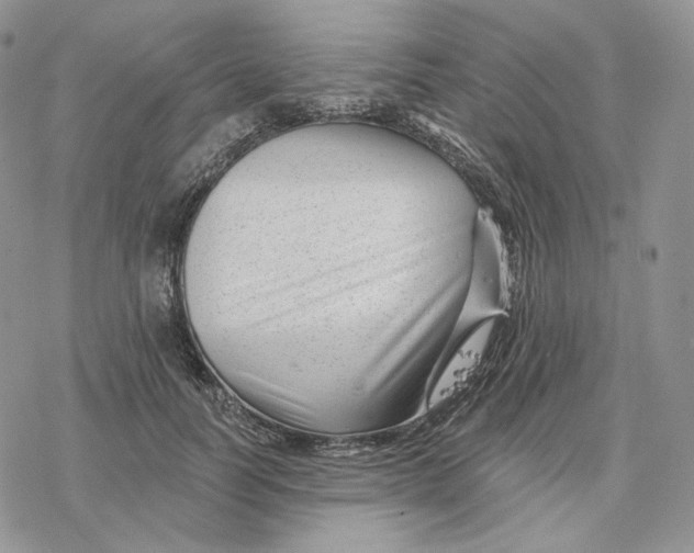 X0000078270746200611251353