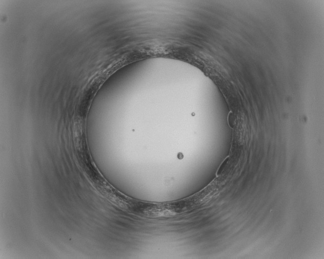 X0000078270747200611251353