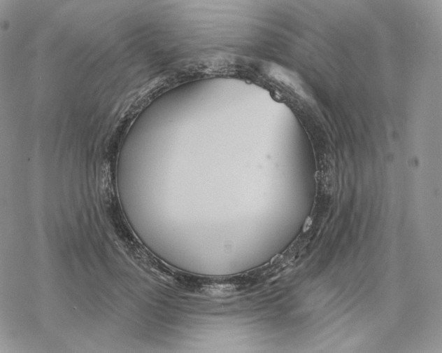 X0000078270748200611251353