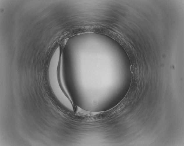 X0000078270750200611251353