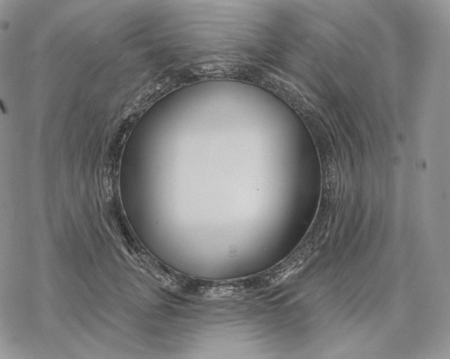 X0000078270751200611251353