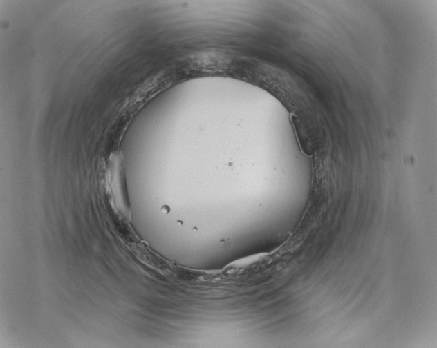 X0000078270752200611251353