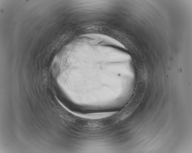 X0000078270753200611251353