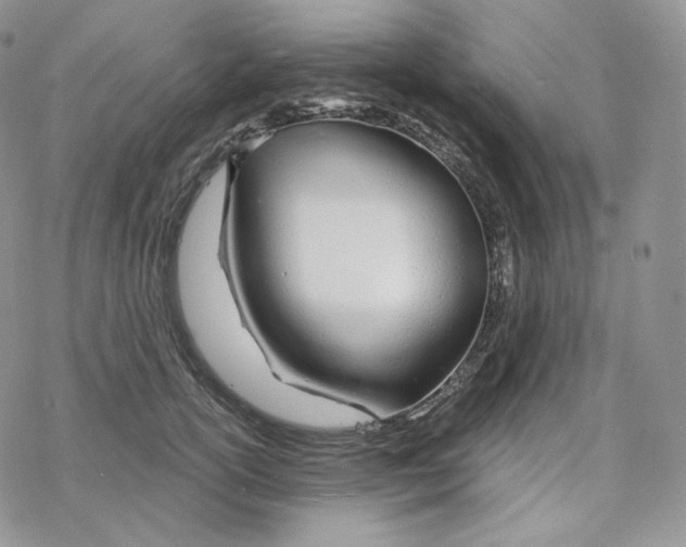 X0000078270754200611251353