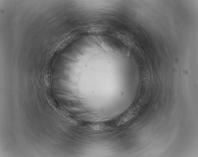 X0000078270755200611251353