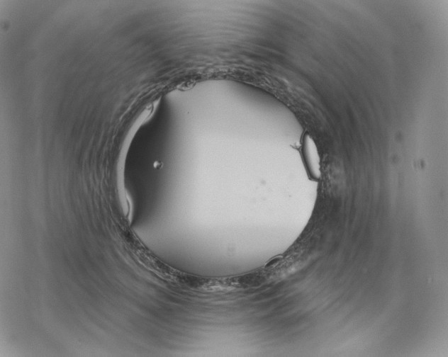 X0000078270756200611251353