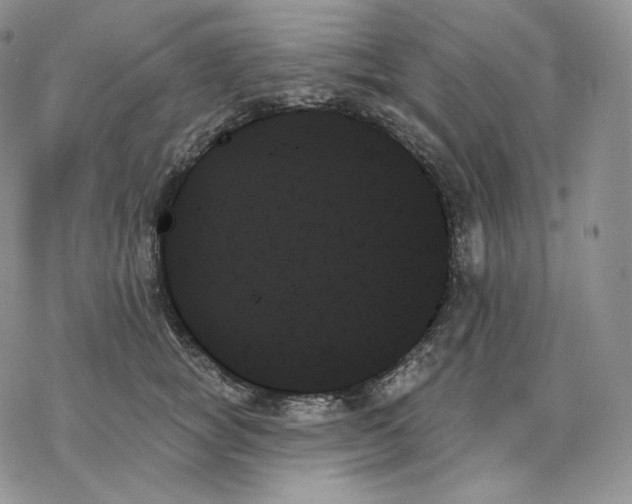 X0000078270757200611251353