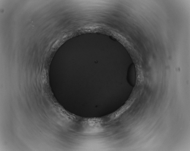 X0000078270758200611251353