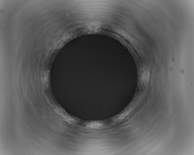 X0000078270759200611251353