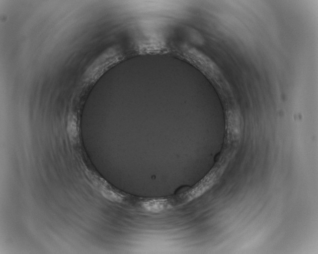 X0000078270761200611251353