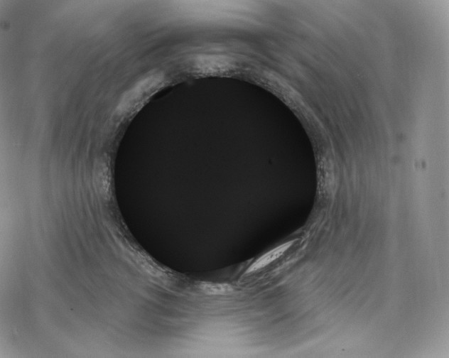 X0000078270762200611251353