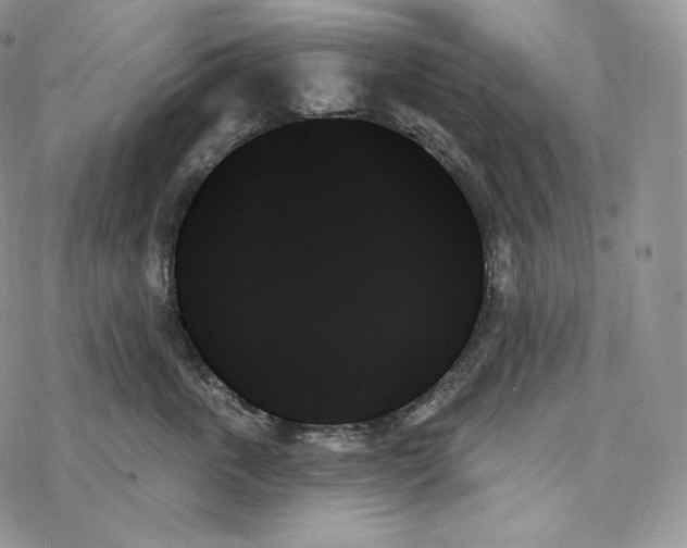 X0000078270763200611251353