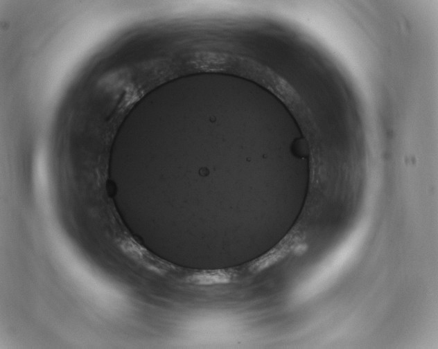 X0000078270765200611251353