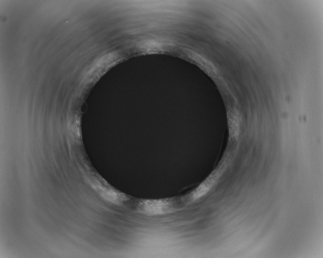 X0000078270766200611251353