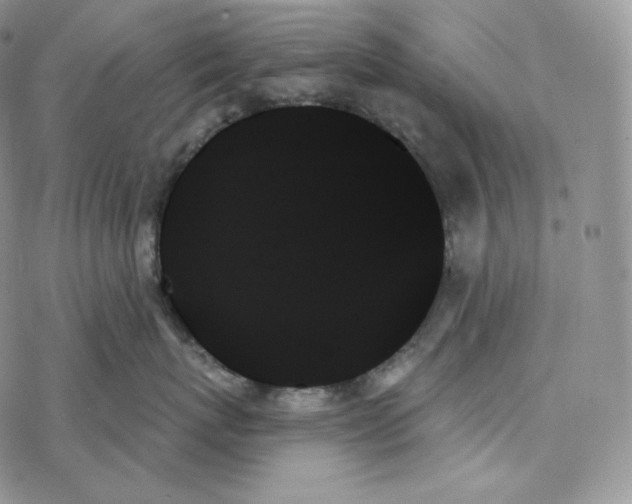 X0000078270767200611251353