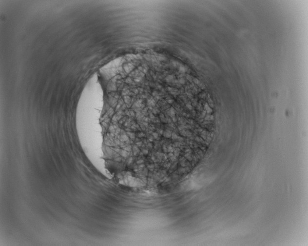 X0000078270768200611251353