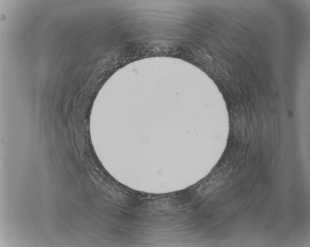 X0000078270769200611251352