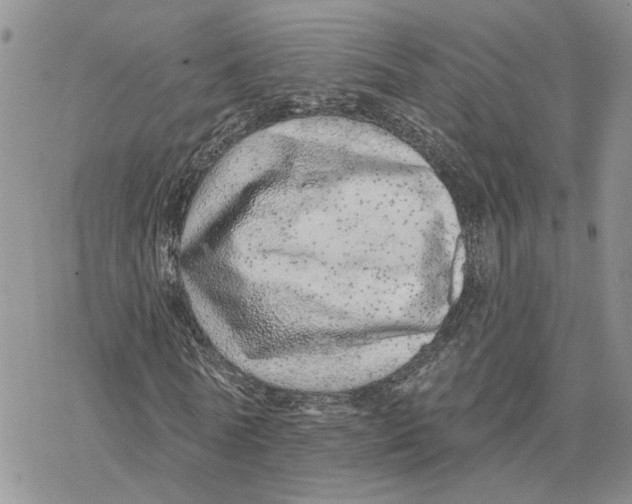 X0000078270770200611251352