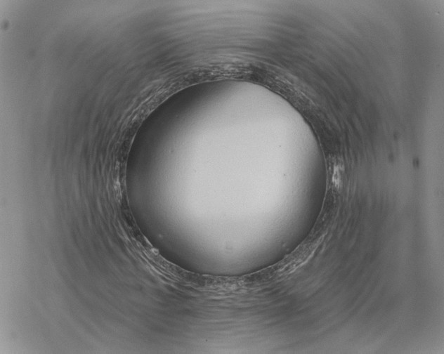 X0000078270771200611251352