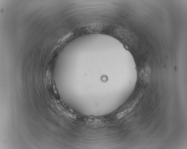 X0000078270772200611251352